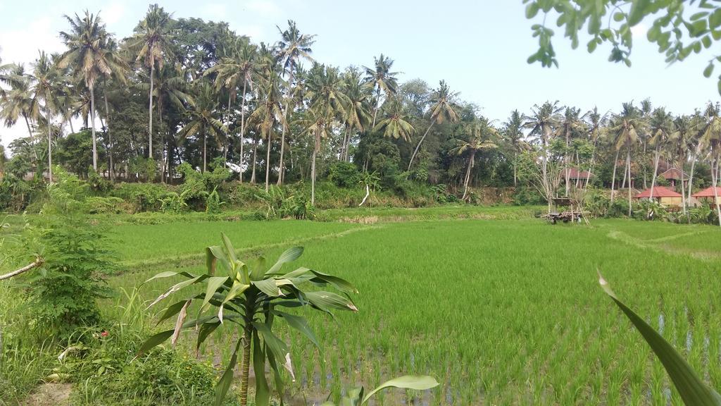 Pondok Tulasi Semaya House 帕洋安 外观 照片