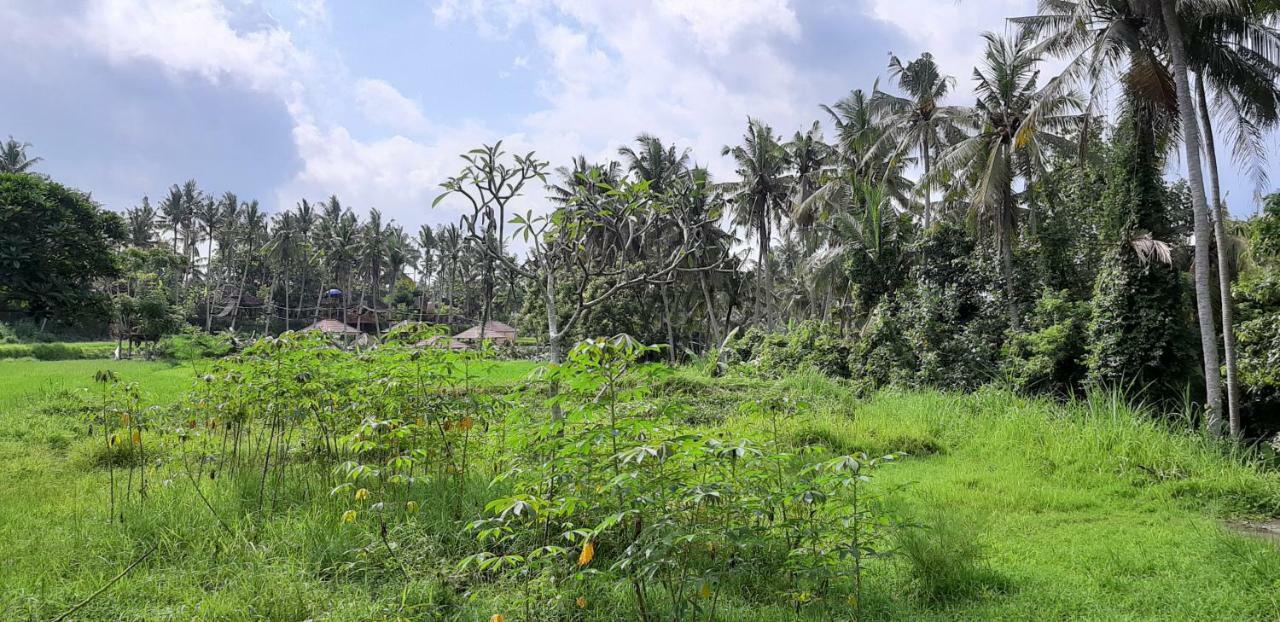 Pondok Tulasi Semaya House 帕洋安 外观 照片